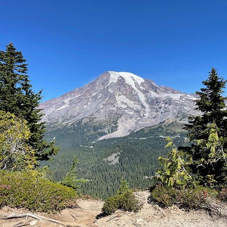 New Modern Cabin! 5Mi To Mt Rainier National Park! Hot Tub & Wifi Ashford Esterno foto