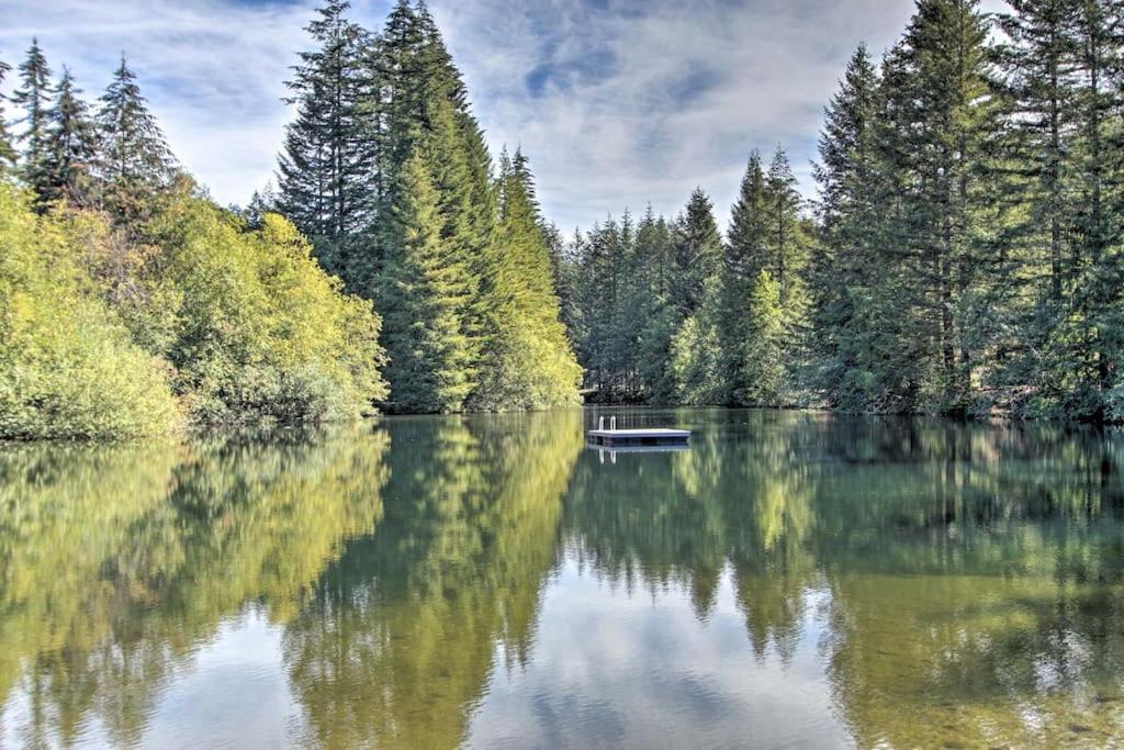 New Modern Cabin! 5Mi To Mt Rainier National Park! Hot Tub & Wifi Ashford Esterno foto
