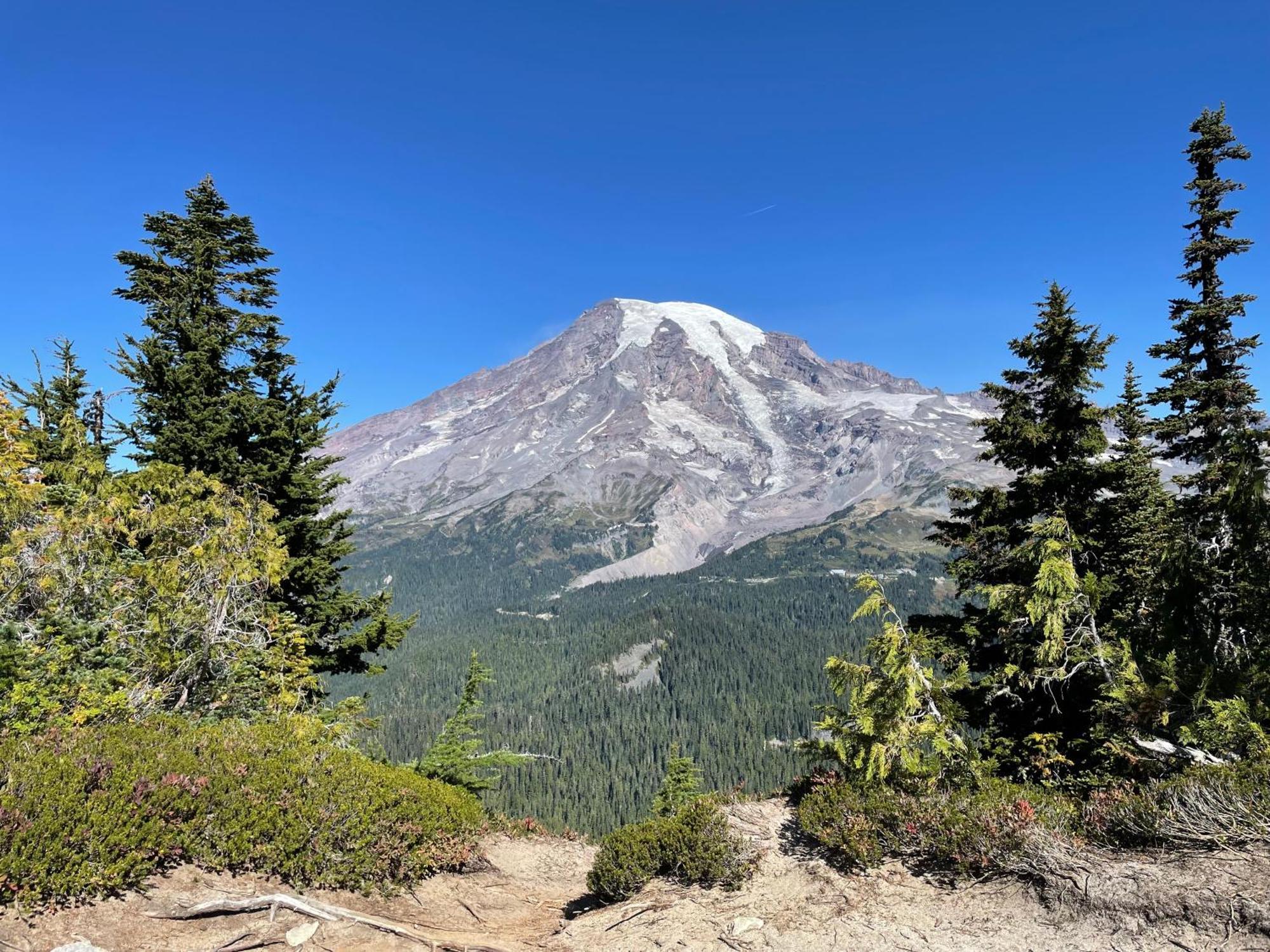 New Modern Cabin! 5Mi To Mt Rainier National Park! Hot Tub & Wifi Ashford Esterno foto