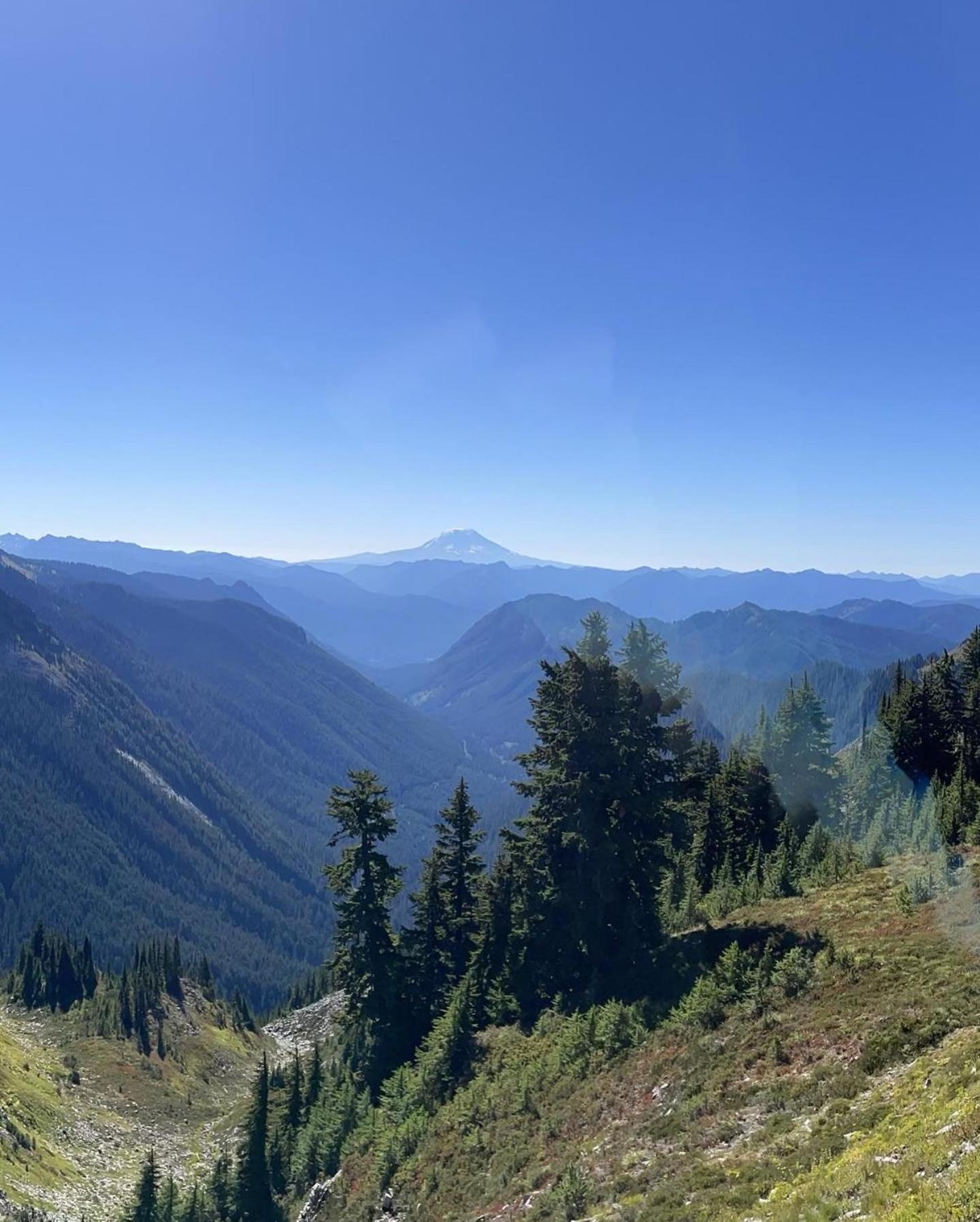 New Modern Cabin! 5Mi To Mt Rainier National Park! Hot Tub & Wifi Ashford Esterno foto